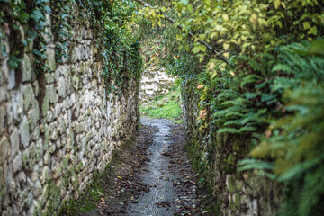 old alley and old stone wall with moss © Loks