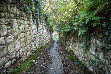old alley and old stone wall with moss