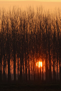 Sunset Po Valley Italy landscape sun sky fields color