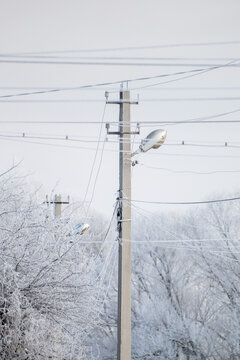 Electric poles with wires are covered with snowy frost, cold winter.