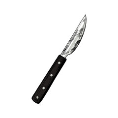 Hand-drawn colored vector sketch of metal knife  on white background. Doodle vintage illustration. Decorations for the menu of cafes and labels. Engraved image.