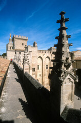 Cité des papes, Avignon, Vaucluse, 84, France