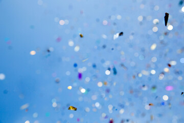 Uplifting award moments against a backdrop of the blue sky.