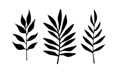 Fototapeta premium Silhouette of a leaves branch.