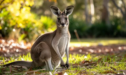 Selbstklebende Fototapeten Kangaroo Animal Wildlife Concept © Arcane Imaginarium