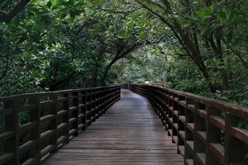 Wooden bridge for sightseeing in the wetland area