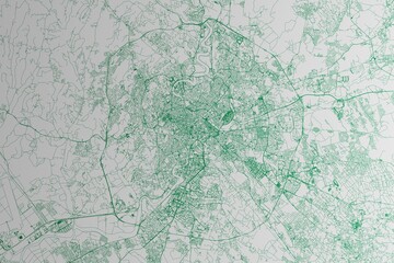 Map of the streets of Rome (Italy) made with green lines on white paper. 3d render, illustration