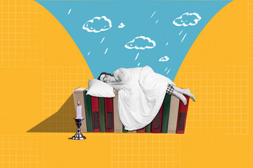 Composite collage picture image of lying girl sleep blanket book shelf reading good morning fantasy...