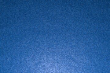 Leather texture, flat view. The name of the color is dodger blue