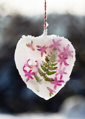 Handmade frozen decor in shape heart made of ice, fern leaf and hyacinth flowers hanging on the...