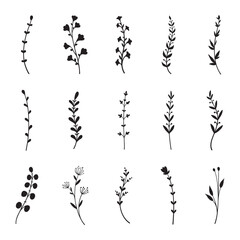 set of silhouettes of leaves
