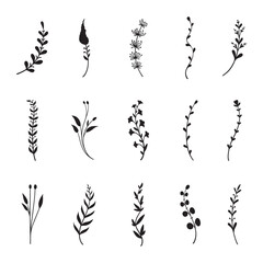 set of silhouettes of leaves