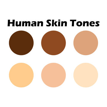 Collection Color palette, Skin tones. Flat vector illustration. skin color infographics. Skin tone, vector icon. Abstract design element. Skin color palette level icon vector design.