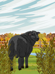 A black fluffy sheep stands on a field in front of an autumn forest. Farming and farm animals in autumn. Realistic vector vertical landscape