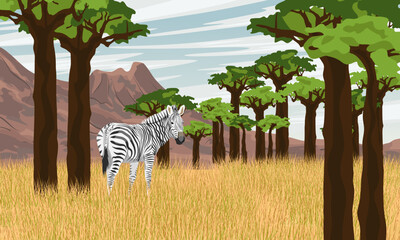 A zebra walks through a babobab grove at the foot of the mountains. Animals of Africa. Realistic vector landscape