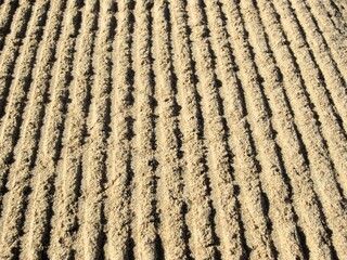 furrowed sand on a beach