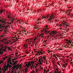 Pink Artificial Grass Texture for Landscape Decoration and Recreation
