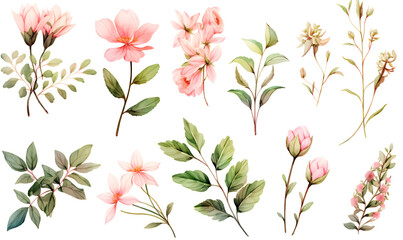 Watercolor pink flower object, Generative AI