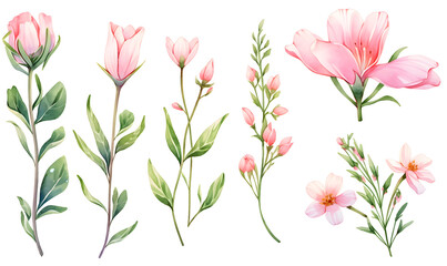 Fototapeta na wymiar Watercolor pink flower object, Generative AI