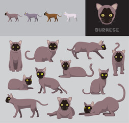 Cat Burmese Silver Coat Cartoon Vector Illustration Color Variation Set
