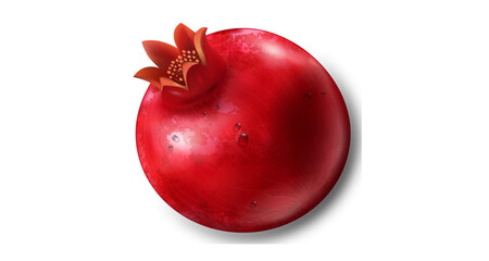 pomegranate realistic vector