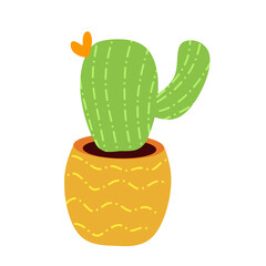 Cactus in a pot 