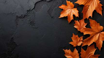 Autumn orange maple leaves