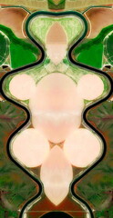  male Female,   abstract symmetrical photograph of the deserts of U.S.A, from the air, conceptual photo, diffuser filter,