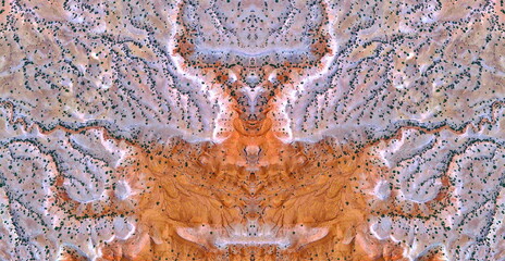  the Queen,   abstract symmetrical photograph of the deserts of U.S.A, from the air, conceptual...
