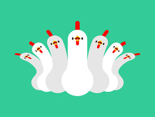 Group Chickens isolated. Chicken set. White Hen - 720113861