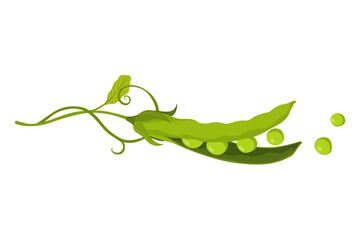 Green pea pod. Vegetable icon. Element for packaging and menu design. Natural green healthy eco product. Vector illustration