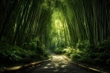 Foto op Plexiglas Bamboo forest and road © tribalium81