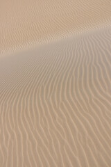 Ripples and beautiful shapes of sand dunes