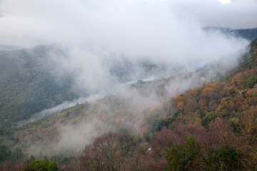 brume hivernale corse