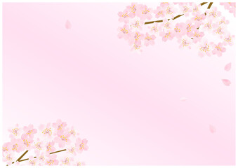 Obraz premium 桜の花が美しい春の桜フレーム背景18ピンク