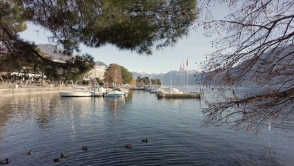 Europe, Swiss Switzerland , Locarno 01-26-2024 Maggiore Lake and tourist visiting pedestrian walk...