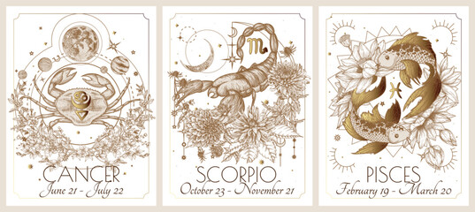 Vector illustration of zodiac in flowers signs card. Water signs: Cancer, Scorpio and Pisces. Gold on a white background in engraving style