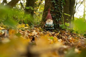 garden gnome in the forrest