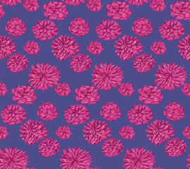 Stylized bright pink floral seamless pattern. Artistic flowers dahlias on a blue background. Vector hand drawn illustration. Blooming botanical motifs scattered randomly printing. Design 