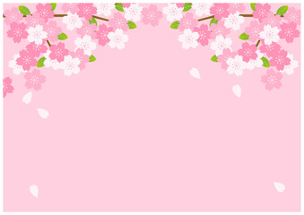 桜の花が美しい春の桜フレーム背景19桜色
