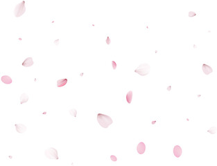 Realistic Sakura Petals.