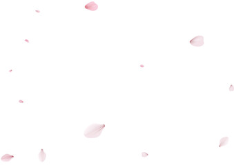 Sakura flying petals, romantic background.