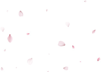 Sakura flying petals, romantic background.