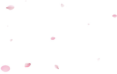 Sakura flying petals, romantic background.