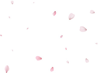 Sakura flying petals, romantic background.