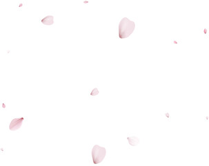Sakura flying petals, romantic background.