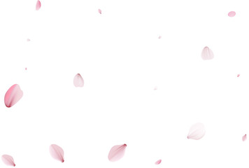 Sakura flying petals, romantic background. © writerfantast