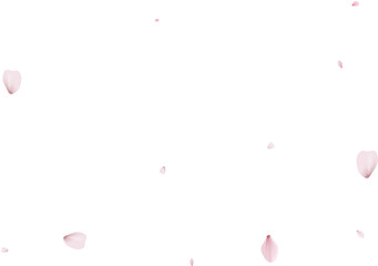 Sakura flying petals, romantic background.