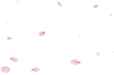 Sakura flying petals, romantic background.