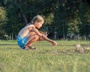 A little girl on a grassy lawn is feeding a prairie dog by hand.